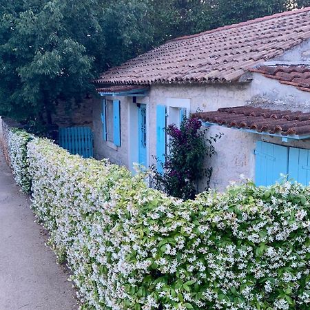 Vila Majda Tar-Vabriga 외부 사진